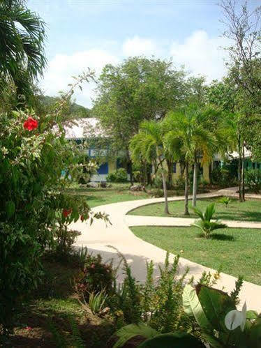 Nanny Cay Hotel Road Town  外观 照片